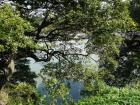 thumbs/20121017T104900_Japan.jpg