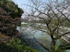 thumbs/20121017T105246_Japan.jpg