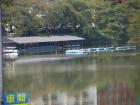 thumbs/20121017T105324_Japan.jpg