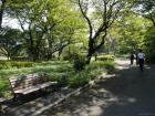 thumbs/20121017T111628_Japan.jpg