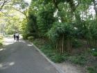 thumbs/20121017T111632_Japan.jpg