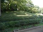 thumbs/20121017T112110_Japan.jpg