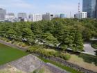 thumbs/20121017T113908_Japan.jpg