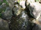 thumbs/20121017T115718_Japan.jpg