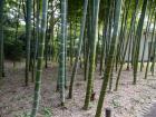 thumbs/20121017T120152_Japan.jpg