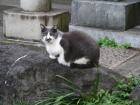 thumbs/20121017T162614_Japan.jpg