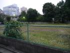 thumbs/20121017T163824_Japan.jpg