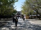 thumbs/20121019T110042_Japan.jpg