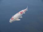 thumbs/20121019T111456_Japan.jpg