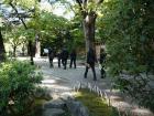 thumbs/20121019T111640_Japan.jpg