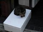 thumbs/20121019T131622_Japan.jpg