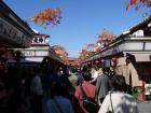 thumbs/20121019T132556_Japan.jpg
