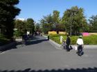 thumbs/20121019T134816_Japan.jpg