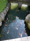 thumbs/20121019T135822_Japan.jpg