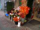 thumbs/20121019T152558_Japan.jpg