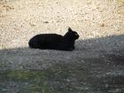 thumbs/20121019T153650_Japan.jpg