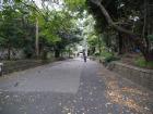 thumbs/20121023T112614_Japan.jpg