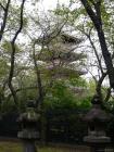 thumbs/20121023T113324_Japan.jpg