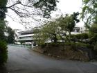 thumbs/20121023T113418_Japan.jpg