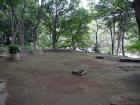 thumbs/20121023T113540_Japan.jpg