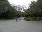 thumbs/20121023T113832_Japan.jpg