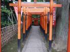 thumbs/20121023T113958_Japan.jpg