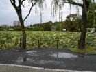 thumbs/20121023T120408_Japan.jpg