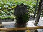 thumbs/20121023T120458_Japan.jpg