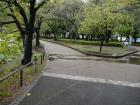 thumbs/20121023T121528_Japan.jpg