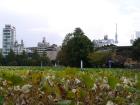 thumbs/20121023T121622_Japan.jpg
