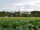 thumbs/20121023T121834_Japan.jpg