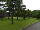 thumbs/20130910T110440_Japan_2013.jpg.jpg