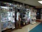 thumbs/20130915T164338_Japan_2013.jpg.jpg