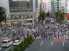 thumbs/20130916T173354_Japan_2013.jpg.jpg