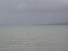 thumbs/IMG_2089.jpg