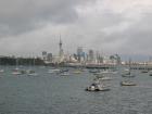 thumbs/IMG_2091.jpg