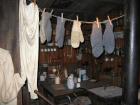 thumbs/IMG_2095.jpg