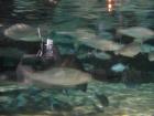 thumbs/IMG_2097.jpg