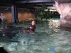 thumbs/IMG_2098.jpg