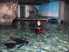 thumbs/IMG_2100.jpg