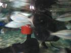 thumbs/IMG_2103.jpg