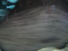 thumbs/IMG_2104.jpg