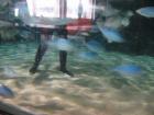 thumbs/IMG_2109.jpg