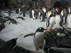 thumbs/IMG_2113.jpg