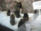 thumbs/IMG_2115.jpg