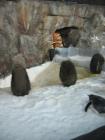thumbs/IMG_2117.jpg