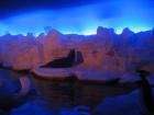thumbs/IMG_2119.jpg