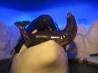 thumbs/IMG_2120.jpg