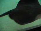 thumbs/IMG_2123.jpg