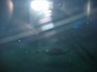 thumbs/IMG_2124.jpg